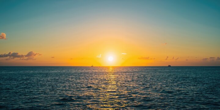 European green tree frog perched on blackberry branch, emphasizing natural habitat and environmental monitoring - Powered by Adobe