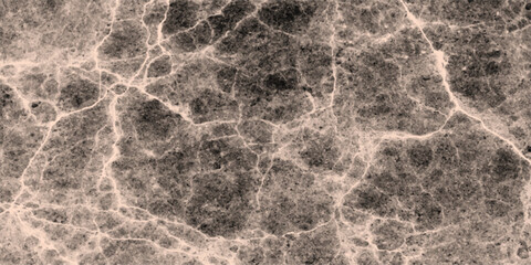 Detailed abstract texture resembling cracked earth or marble with a dark gray base and lighter, intricate network of cracks and veins for a natural, organic feel