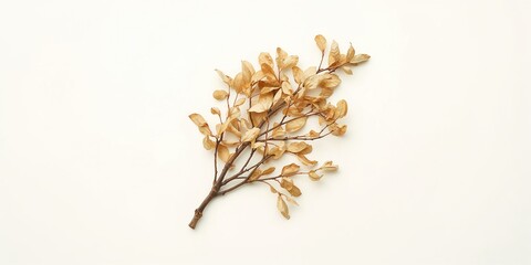 Modern office setting with a laptop and accessories, emphasizing workspace organization for productivity