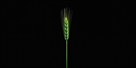 Naklejka premium Woman organizing ecommerce stock in a retail store for secure courier shipping, focused on packaging safety