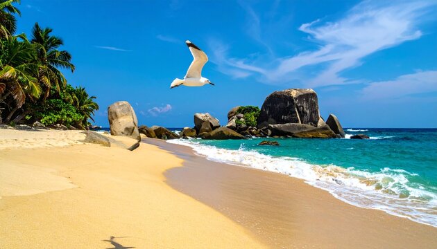 Seagull flying over tropical sandy beach.