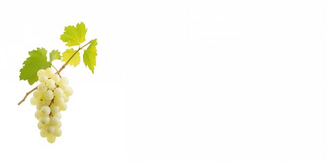 Naklejka premium Natural treatments and alight candles in a spa salon, emphasizing relaxation and wellness practices