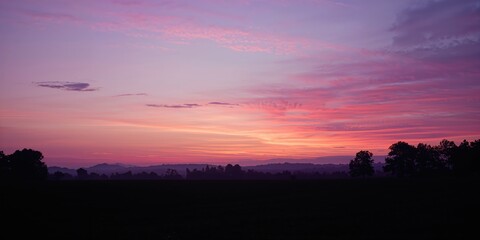 Pork steak on a plate in a restaurant setting, highlighting meal presentation and dining atmosphere