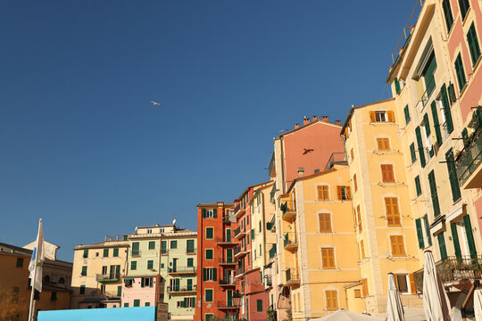 Traditional old buildings in old town, Camogli. Brightly coloured houses and roofs of fishing village, town in Italy. Seagulls in sky. Background for design. 