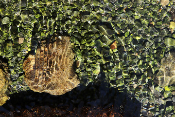 The bottom of a clear stream