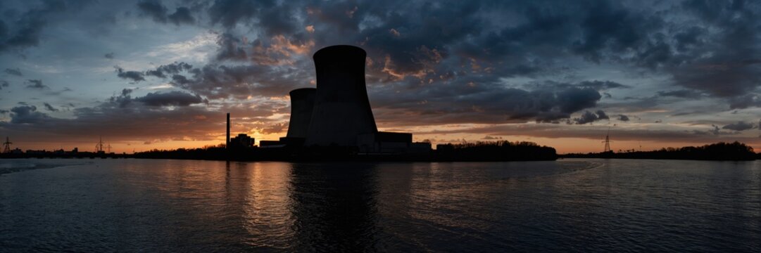 Closeup of jackfruit tree leaves showing color variation, emphasizing seasonal changes in foliage, Earth Day