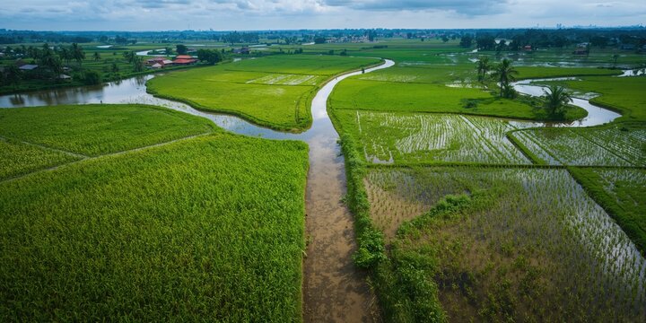 Group of businesspeople collaborating around a table, teamwork in a professional setting, World Business Day