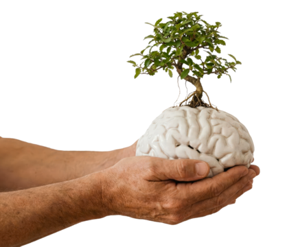 Hands holding human brain model with growing tree symbolizing mental health and growth