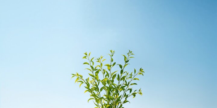 Elaborate wooden gothic door with metal hinges and stained glass windows seen through a blurred iron gate, emphasizing architectural preservation - Powered by Adobe