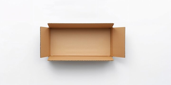 Sequoia tree compared to other trees, emphasizing size and age differences, natural landscape, Earth Day