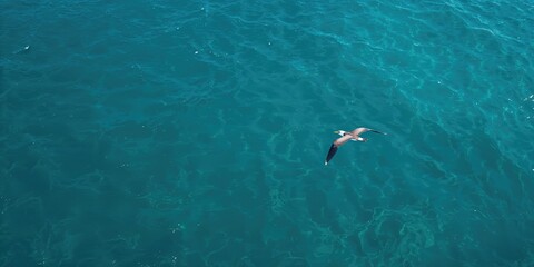 Potted cactus placed on a white surface, suitable for floral background designs, highlighting plant textures and natural decor