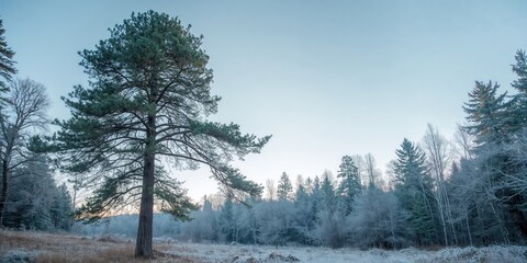 Sugar-based dalgona crafted into a heart shape, emphasizing sweet treat preparation for a special occasion