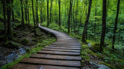 Obraz premium Eco tourism Nature Trail Inviting Hikers to Explore Sustainable Wilderness Showcasing Winding Wooden Boardwalk Through Lush Green Forest for Earth Day Awareness