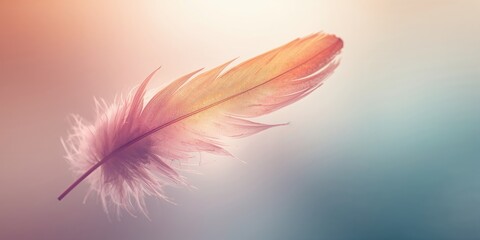 Dragonfly perched on a plant, emphasizing natural habitat and seasonal activity