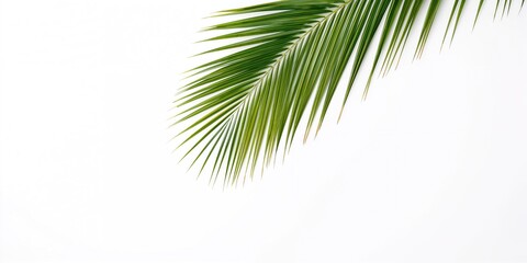 Obraz premium Japanese food, udon noodles prepared with thick wheat flour for a hearty meal, suitable for traditional cuisine recognition