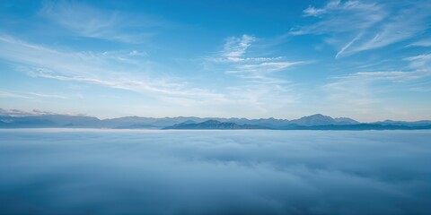Obraz premium Baobab trees standing alone on a plain, emphasizing natural erosion risk, Earth Day