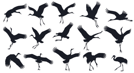 Obraz premium A large collection of dynamic black silhouettes of Japanese cranes in various poses of dancing walking and flying.