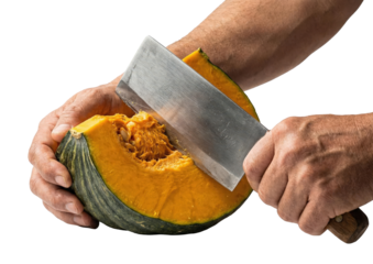 Male hands cutting large green pumpkin with heavy cleaver knife isolated on white