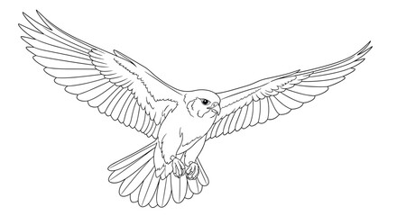 Obraz premium A detailed and realistic black and white line drawing of a falcon flying towards the viewer with wings fully spread.
