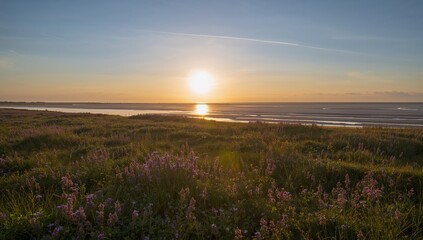 Sunrise illuminating salt marshes near Wells, emphasizing natural landscape features