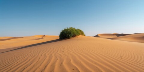Galloping race horse in racing competition, emphasizing speed and athleticism in a sport setting