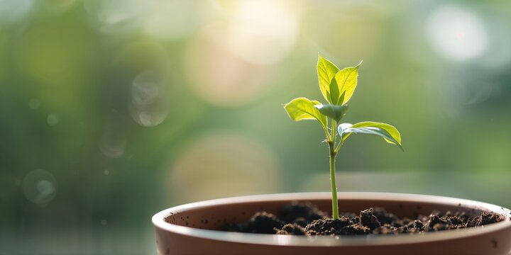 Tehri Garhwal district scene in Uttarakhand highlighting mountainous terrain and rural settlements, Earth Day