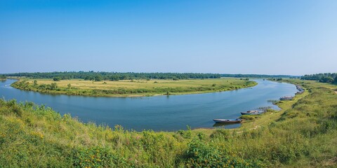 Leafless tree viewed from below, emphasizing winter seasonal change and vulnerability in urban landscape