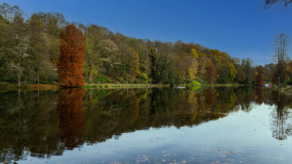 autumn trees reflected in water