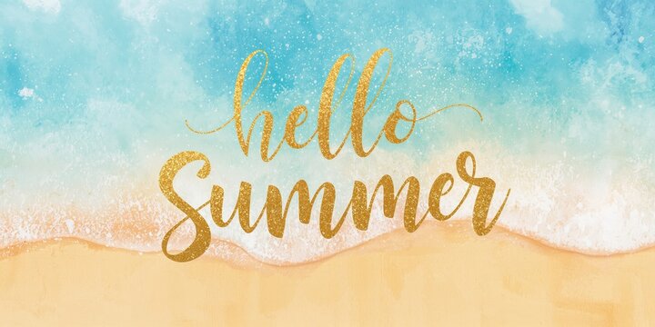 Brown pelican perched on rocks, emphasizing coastal bird habitat for wildlife preservation