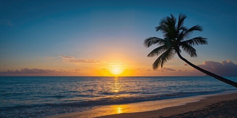 Lymphatic system diagram with labeled components, useful for educational layouts and health information displays