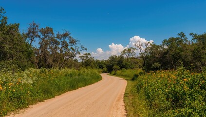 Pathway winding through Laguna Atascosa National Wildlife Refuge in South Texas, erosion risk