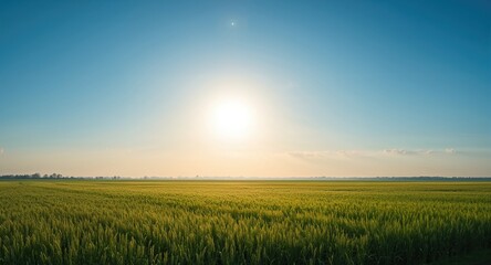 Obraz premium Open notebook and pen on a sunny autumn day amid vibrant yellow leaves, ideal for seasonal journaling or note-taking