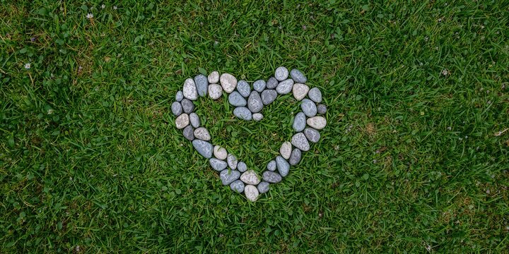 Close-up of wheat ears against a blue sky, emphasizing agricultural growth for harvest planning