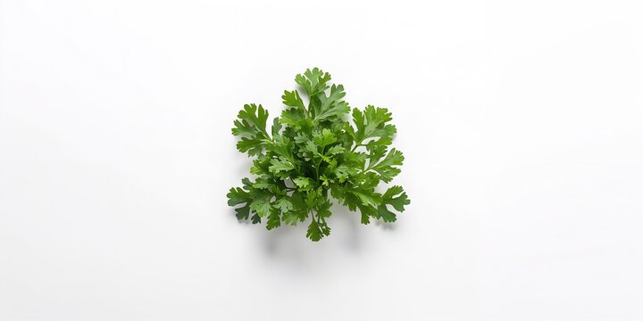 White face with a sad expression drawn in red pen indicating customer dissatisfaction, emotional response, no holiday observance