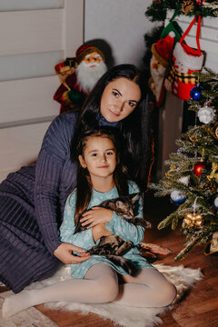 Mother and daughter holding a kitten by christmas tree
