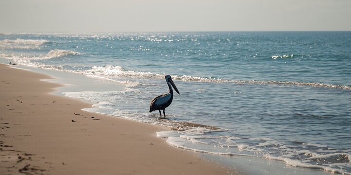 Green park with pine tree in spring, natural landscape for environmental preservation, Earth Day