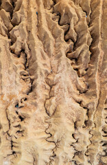 A ridge of land that has been naturally eroded by water