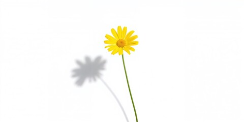 Happy Asian businesswoman in Muslim dress holding credit card smiling, emphasizing financial transactions, World Credit Day