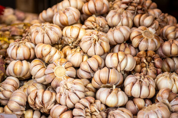 Fresh garlic on the market