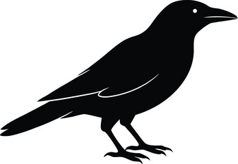 Crow bird silhouette vector icon. Black raven symbol.