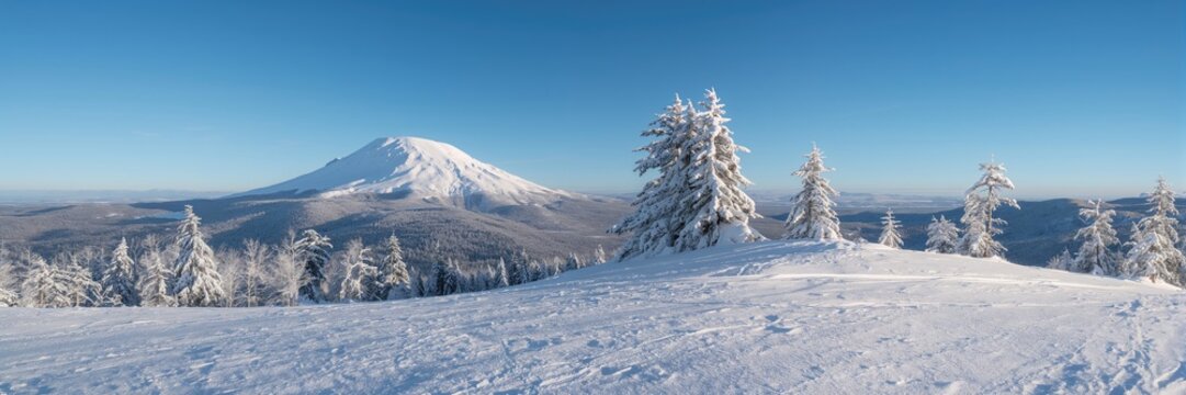 Snow-covered mountain landscape with pine trees and ridges viewed from the side of Mt. Washington, emphasizing seasonal change