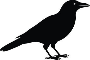 Crow bird silhouette vector icon. Black raven symbol.