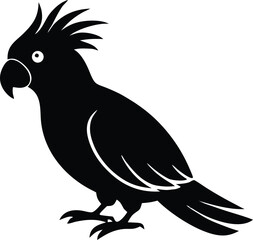 Cockatoo bird vector illustration, Exotic parrot animal graphic