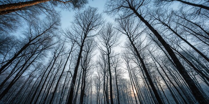 Close-up of vibrant red blooms with detailed petals, serving as a floral background for text and layout, Earth Day