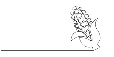 A single line drawing of a corn. Continuous line thanksgiving corn icon in color. One line icon. Vector illustration, Corn continuous one line drawing, single line art element, minimalist sketch line.