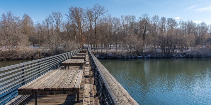 Christmas tree with ornaments and lights, seasonal decoration for holiday festivities, Christmas Day - Powered by Adobe