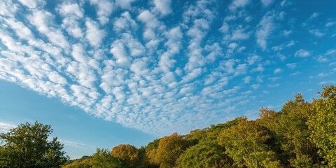 Modern abstract art with a vibrant colorful background and bold yellow pattern used in wallpaper and fabric design, suitable for textured surfaces