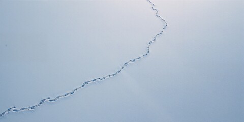 IT developer wearing headphones analyzing binary code for website security, focused on cybersecurity practices