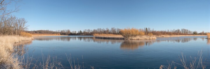 A peaceful winter scene in Clissold Park with frost-covered grass and trees under clear blue sky, emphasizing seasonal change