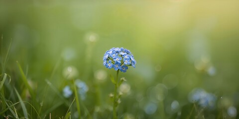 Closeup of celebrity couple with paparazzi, capturing media attention and public interest